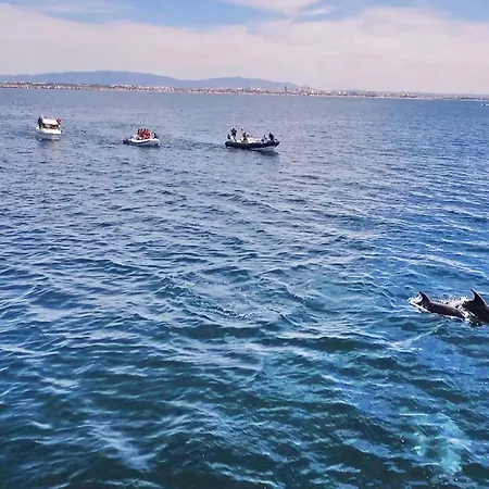 别墅 Azzurra By Algarve Vacation